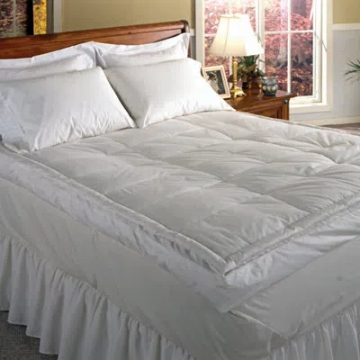 Blue Ridge Home Fashions 233 Thread Count Down Pillow  Top Featherbed In White