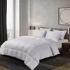 Blue Ridge Home Fashions Naples 700 Thread Count Oversized Hungarian White Goose Down Comforter