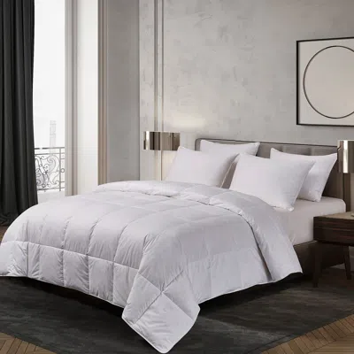 Blue Ridge Home Fashions Naples 700 Thread Count Oversized Hungarian White Goose Down Comforter