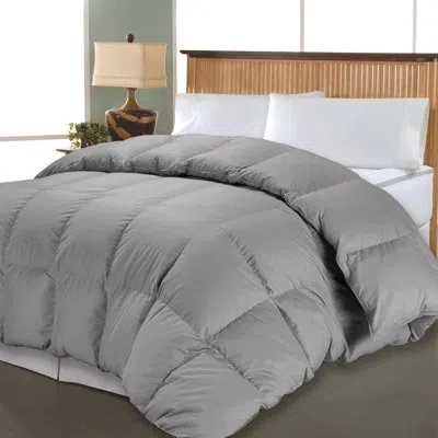 Blue Ridge Home Fashions Pima Single Comforter In Gray