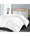 Blue Ridge 700 Thread Count Siberian Down Comforter In White
