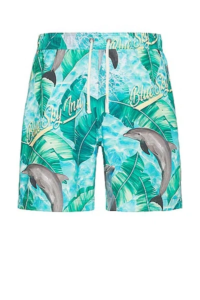 Blue Sky Inn Dolphin Swim Trunks In Blue