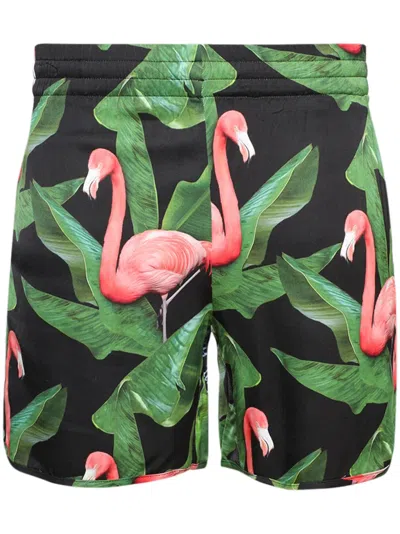 Blue Sky Inn Flamingo Shorts In Green