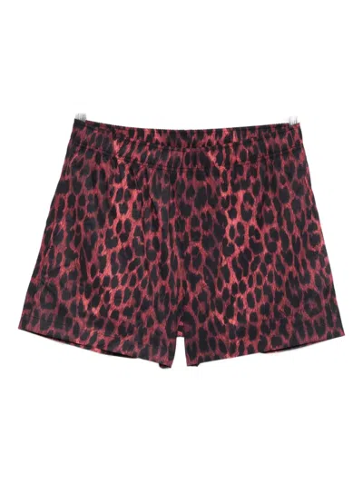 Blue Sky Inn Leopard-print Swim Shorts In Multi