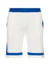 Blue Sky Inn Paneled Knit Shorts