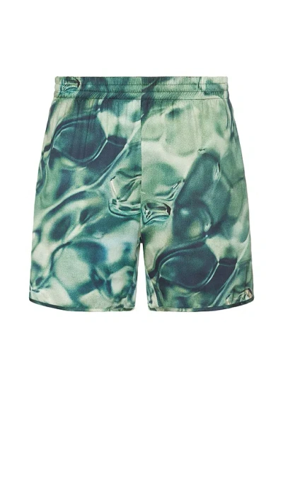 Blue Sky Inn Shorts In Green