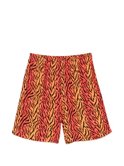 Blue Sky Inn Tiger-print Side-stripe Shorts In Multi