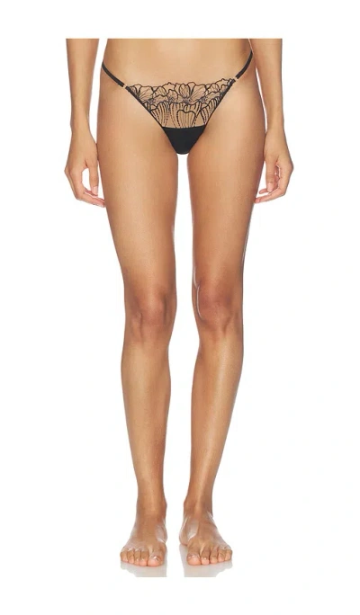 Bluebella Amarosa Thong In Black