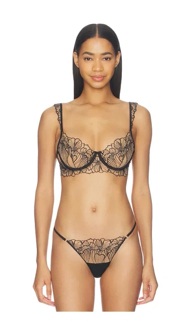 Bluebella Amarosa Wired Bra In Black
