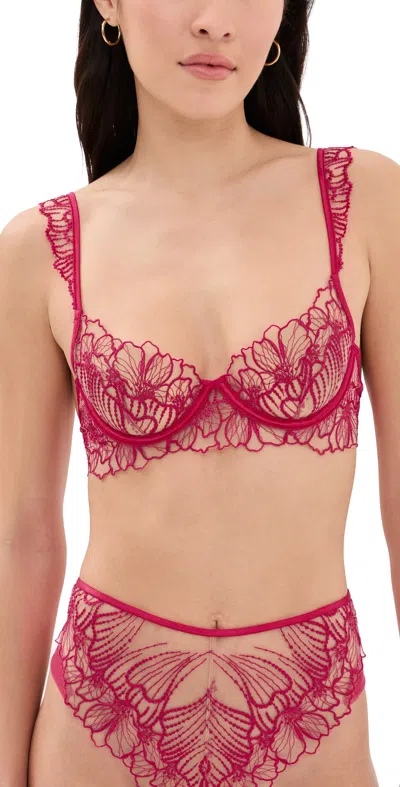 Bluebella Amarosa Wired Bra Virtual Pink/sheer In Red