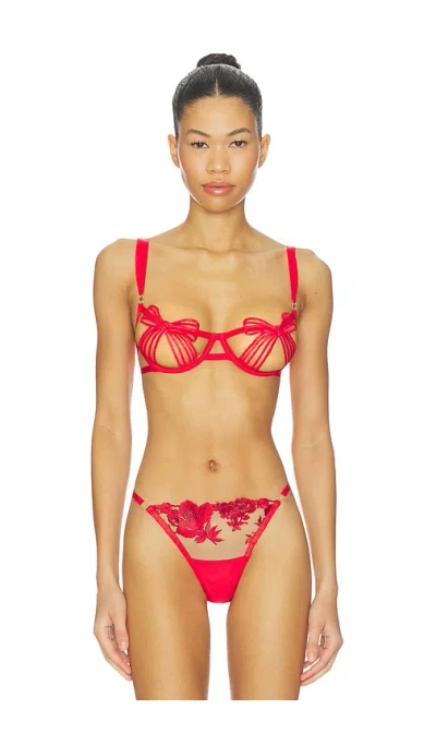 Bluebella Annabel Wired Bra In Red