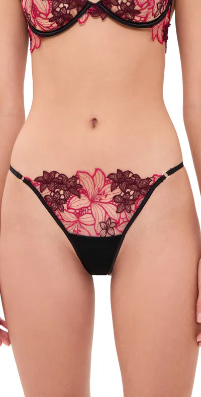 Bluebella Calantha Briefs Cherry Lacquer/virtual Pink In Multi