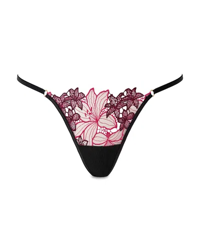 Bluebella Calantha Floral Embroidered Brief In Multi