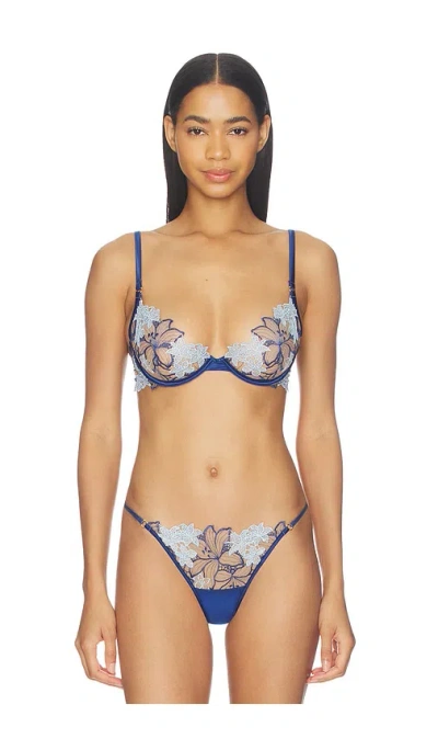 Bluebella Calantha Wired Bra In Blue