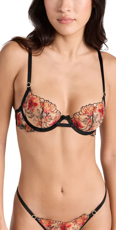 Bluebella Calista Wired Bra In Black/tomato Red/orange