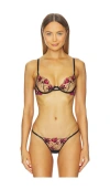 Bluebella Calista Embroidered Mesh Underwire Bra In Multi