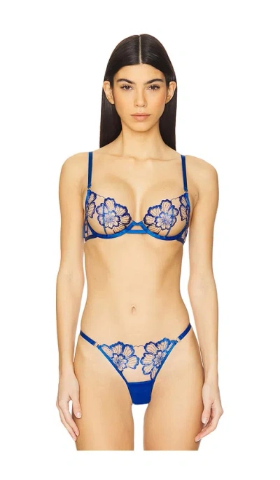 Bluebella Catalina Embroidered Mesh Underwire Bra In Egyptian Blue