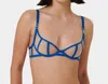 Bluebella Etta Wired Bra In Egyptian Blue/sheer