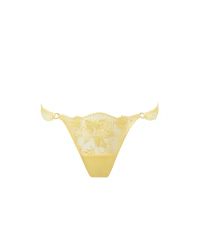 Bluebella Gabriella Floral Embroidered Brief Yellow In Multi