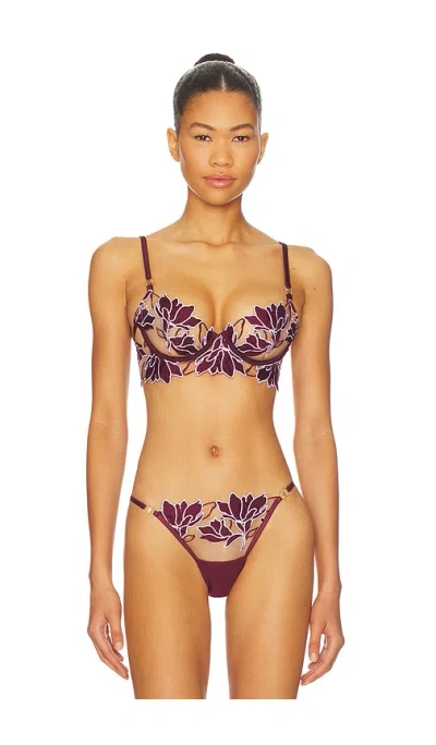 Bluebella Geneva Thong In Purple