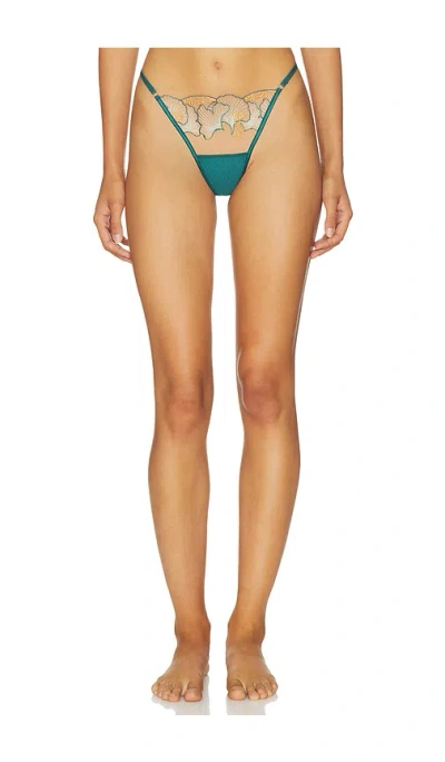 Bluebella Gianna Thong In Blue