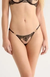 Bluebella Inaya Embroidered Mesh Briefs In Multi
