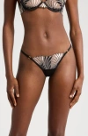 Bluebella Katerine Embroidered Mesh Thong In Multi