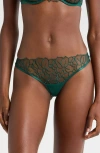 Bluebella Laurel Embroidered Mesh Briefs In Botanical Garden Green