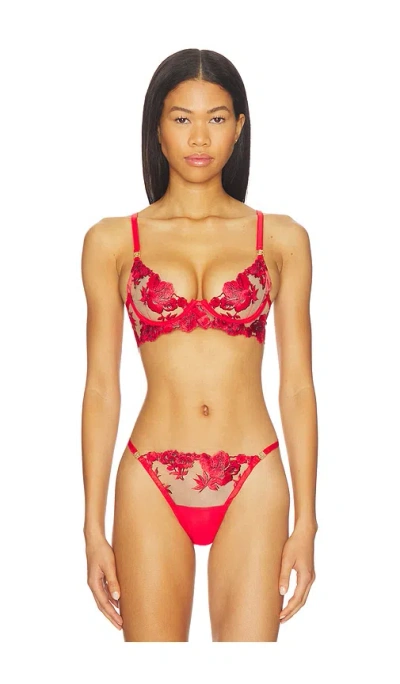 Bluebella Lavanya Wired Bra In Pink