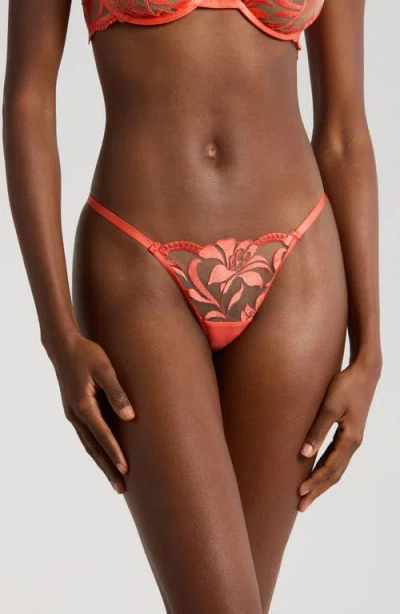 Bluebella Leonora Embroidered Mesh Thong In Hot Coral/sheer