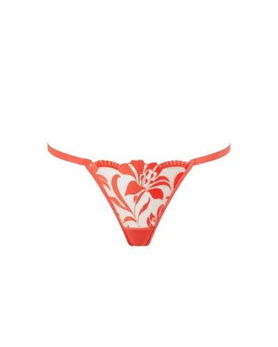 Bluebella Leonora Floral Embroidered Thong Coral In Orange