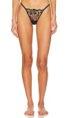 Bluebella Leonora Thong In Black