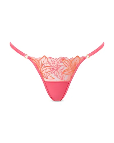 Bluebella Lilly Thong In Pink