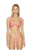 Bluebella Lilly Wured Bra In Multi