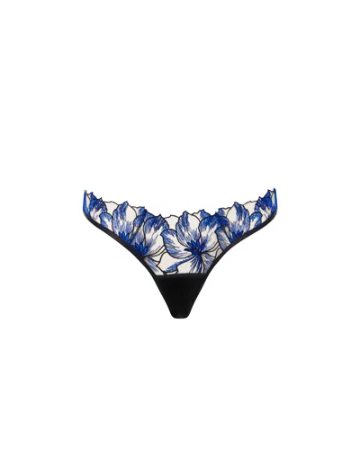 Bluebella Lyandra Brief Egyptian Blue/black/sheer