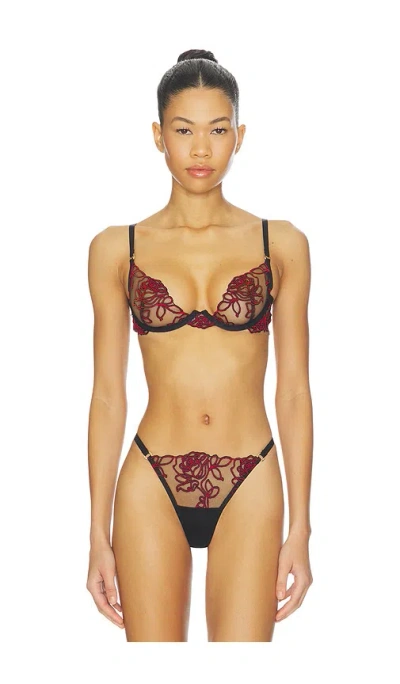 Bluebella Malina Wired Bra In Multi