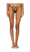 Bluebella Marabel Thong In Black & Sheer