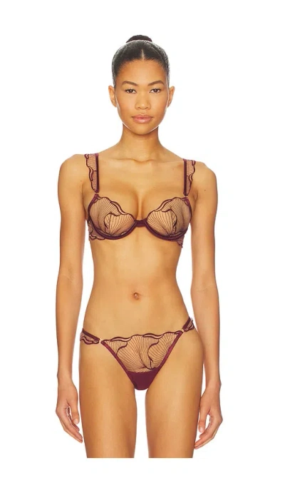 Bluebella Marabel Wired Bra In Purple