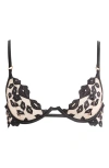 Bluebella Marian Embroidered Mesh Underwire Bra In Black