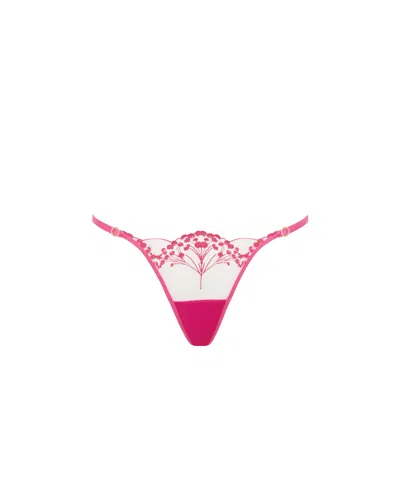 Bluebella Marisa Brief Fuchsia Pink/sheer