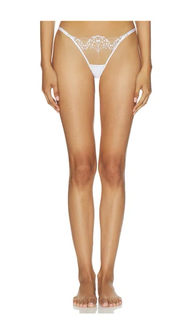 Bluebella Marisa Brief In White