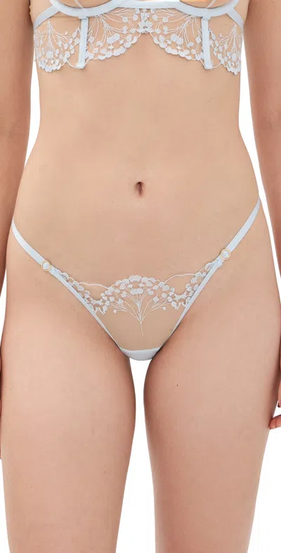 Bluebella Marisa Embroidered Sheer Panty Ice Water Blue/sheer
