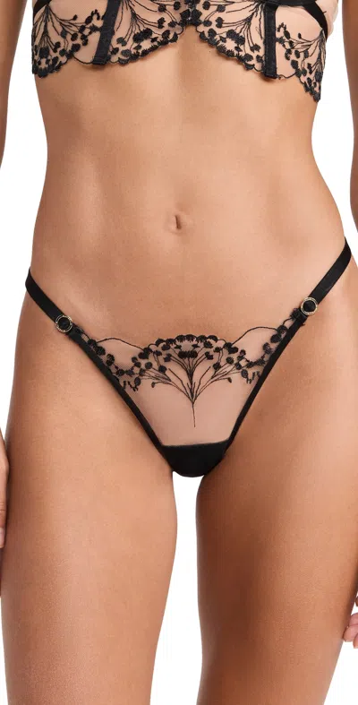 BLUEBELLA MARISA BIKINI PANTY BLACK/SHEER