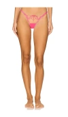 Bluebella Marisa Embroidered Mesh Thong In Fuchsia Pink & Sheer