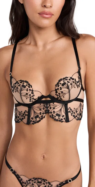 BLUEBELLA MARISA WIRED BRA BLACK/SHEER