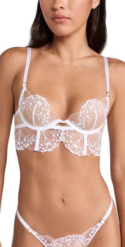 Bluebella Marisa Bra In White & Sheer
