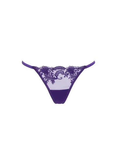Bluebella Marseille Brief Heliotrope Purple