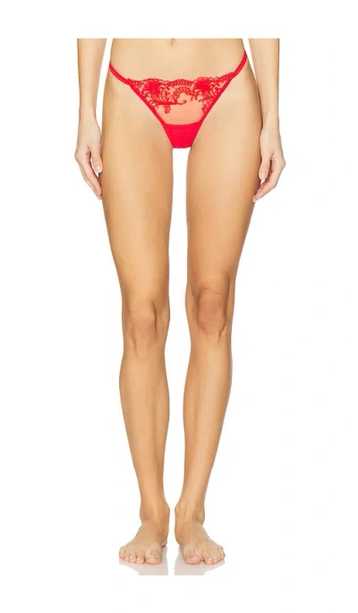 Bluebella Marseille Brief In Red