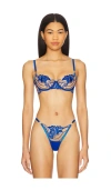 Bluebella Monique Bra In Egyptian Blue & Sheer