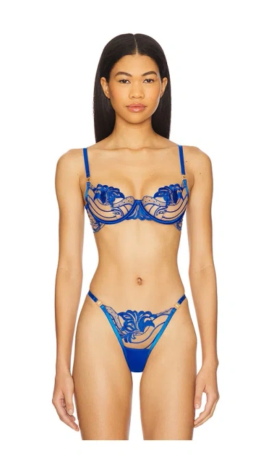 Bluebella Monique Bra In Blue